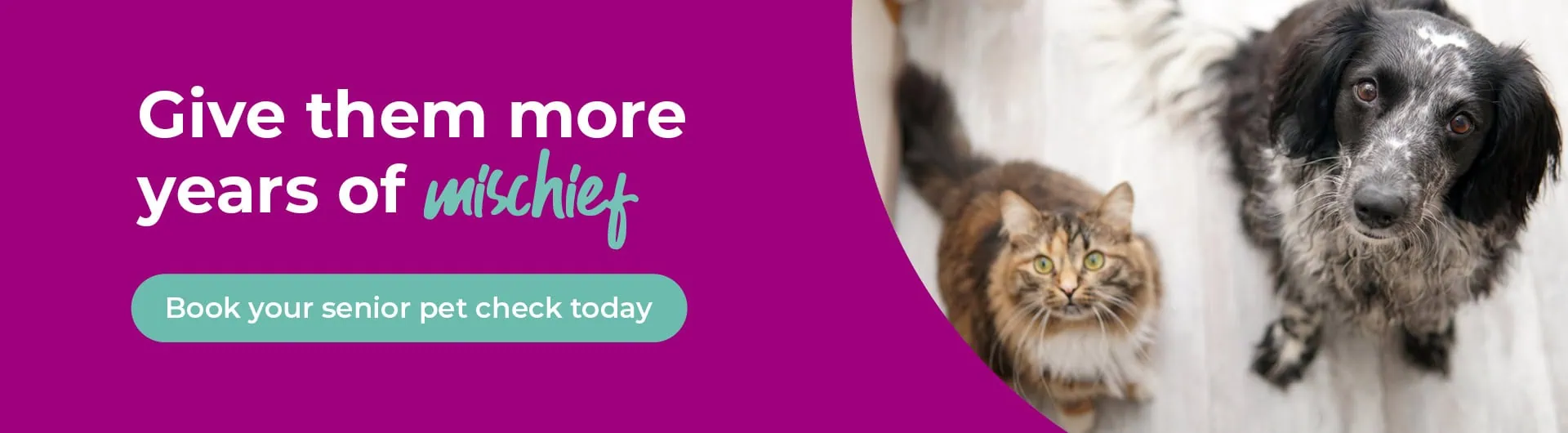 Colne Valley Vets Colchester and Wivenhoe