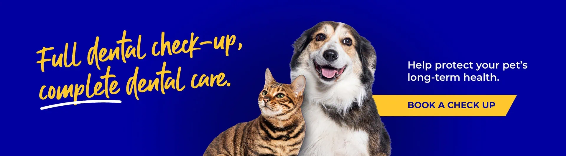 Colne Valley Vets Colchester and Wivenhoe