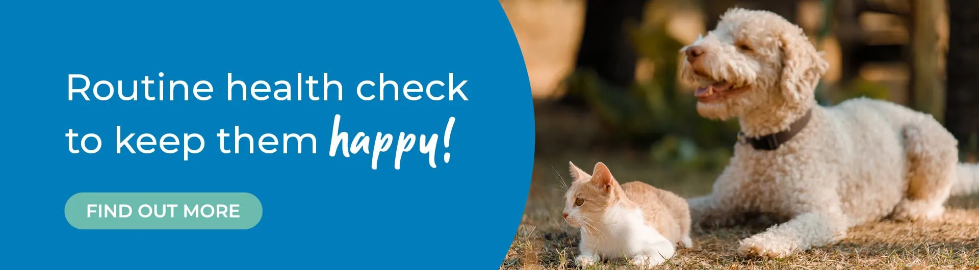 Colne Valley Vets Colchester and Wivenhoe